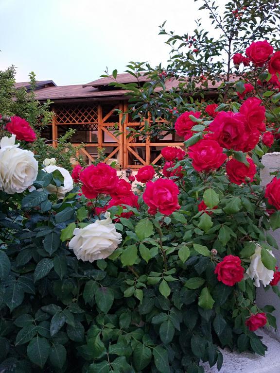 Guest House Albatros Cholpon-Ata Luaran gambar