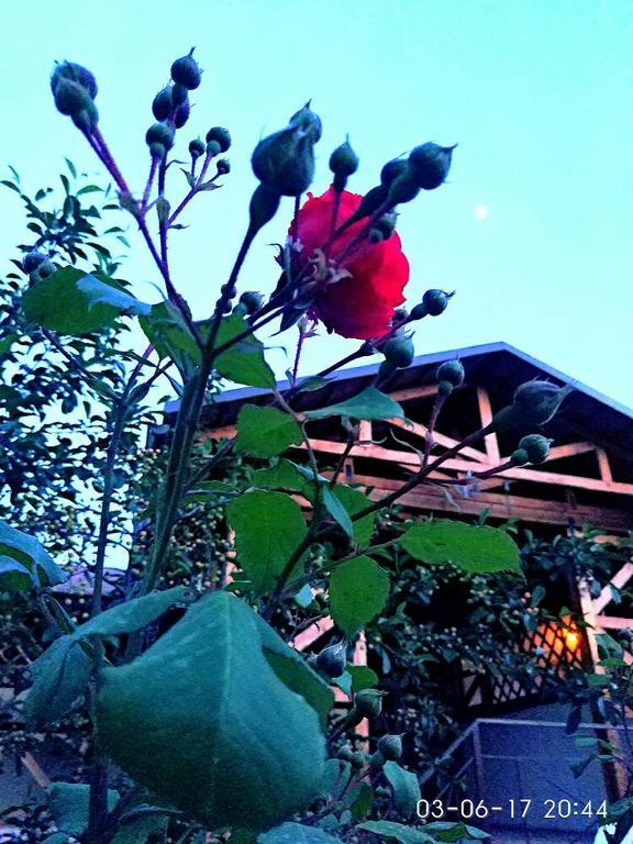 Guest House Albatros Cholpon-Ata Luaran gambar
